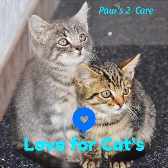 Meet your Posher, Nereyda - Picture 2 of 2